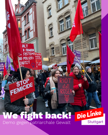 Insta Standard LINKE - 36
